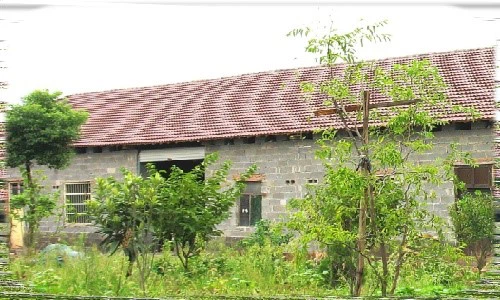 2005
